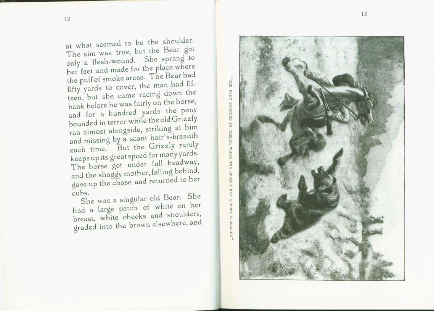 MONARCH, the Big Bear of Tallac in the Lake Tahoe High Sierra. vist0040c